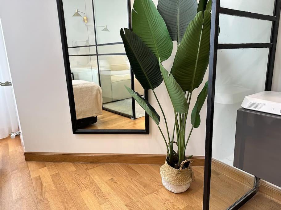 Ybh Suite Alameda 比戈 外观 照片